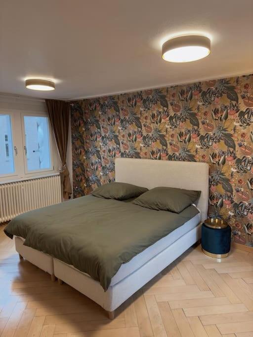 Suesse Wohnung In Zuercher Altstadt 3 Zurich Exterior photo